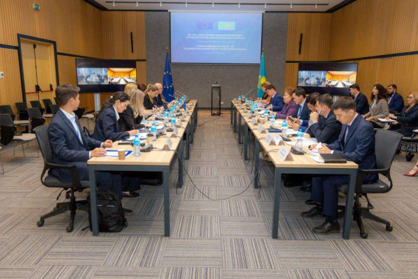 Электромобили Proton могут начать выпускать в Казахстане: Бектенов встретился с руководством компании