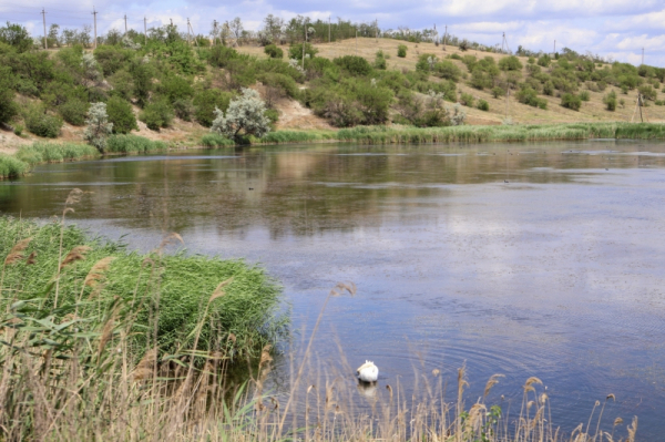 Роспотребнадзор запретил купаться в двух тюменских водоемах: список безопасных пляжей