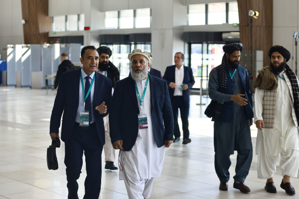 Через Татарстан готовятся завозить мясо и молоко из Афганистана в Россию