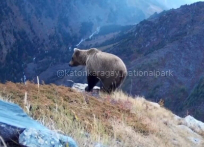 Снимают без разрешения!