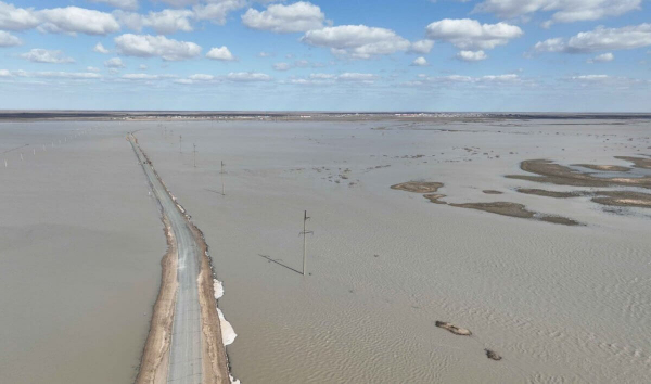 Из-за паводков в Казахстане появится новый орган