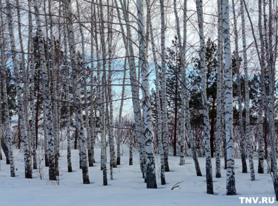 Тепло уходит: резкое похолодание ожидается в центре России