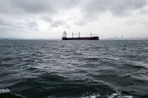 &laquo;Украина превратилась в обузу&raquo;: в США прокомментировали атаку на российский газовоз