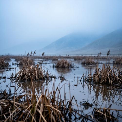В Петербурге бюджетников призвали помочь Дагестану после разрушительных ливней
