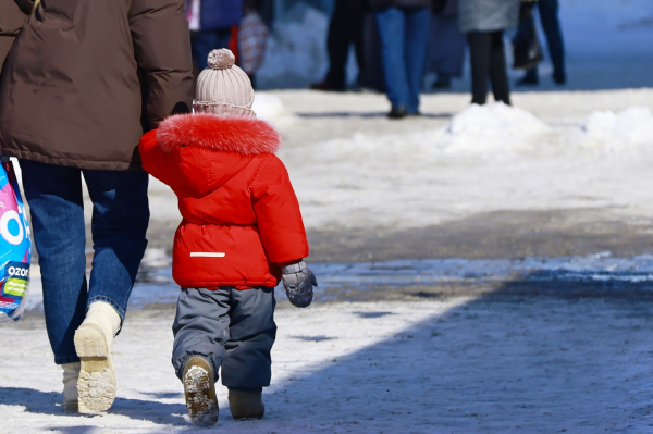 Число восстановленных в родительских правах татарстанцев увеличилось на 38%