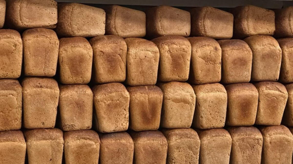 Сахар, гречку и хлеб поставляли втридорога в детские сады Улытау