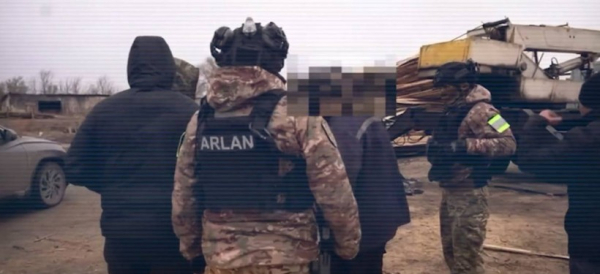 Схему незаконной вырубки леса выявили в Костанайской области