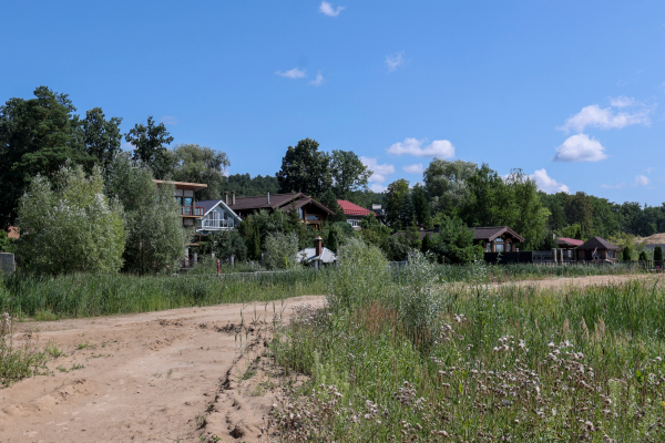 Осы и шершни в сентябре станут агрессивными
