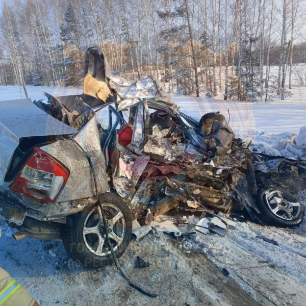 В ДТП в Агрызском районе погибли три человека при столкновении с КАМАЗом