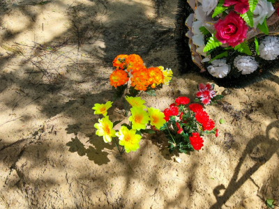 Мест нет: восемь кладбищ закрыли в Нижнем Новгороде