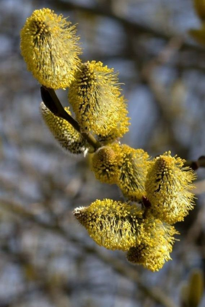 Понедельник станет последним теплым днем в Татарстане
