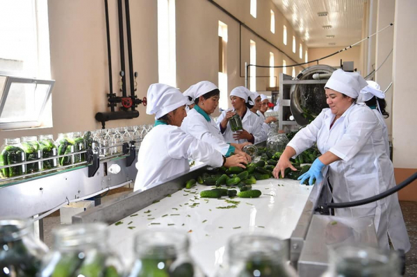 Село – опора устойчивого развития и продовольственной безопасности