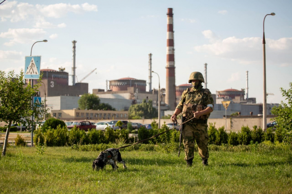 Лихачёв: ВСУ сеют панику в Энергодаре, угрожая ядерной безопасности