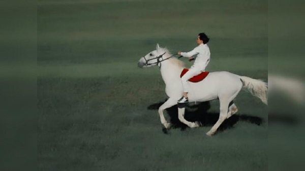 Кайрат Нуртас в роли принца на белом коне смутил подписью к фото в Instagram