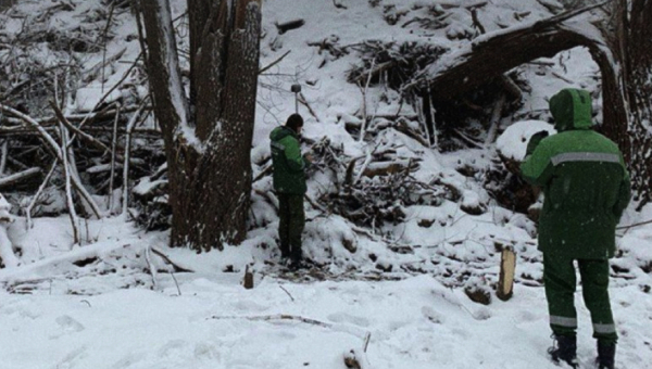 Огромную свалку площадью в тысячи квадратных метров обнаружили в Казани 12/02/2026 &ndash; Новости