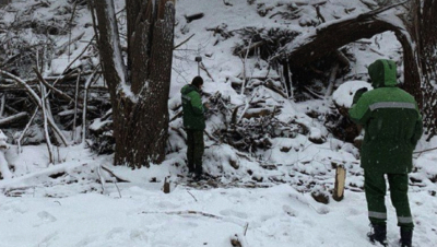 Огромную свалку площадью в тысячи квадратных метров обнаружили в Казани 12/02/2026 &ndash; Новости