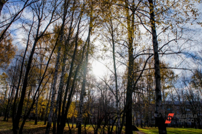 После исчезновения Усольцевых сибиряки бросают дома и бегут с берегов Маны