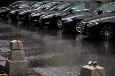 Аллерголог Болибок: дождь и снег помогают снизить концентрацию пыльцы