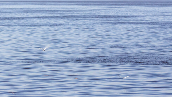 На нескольких реках в Татарстане резко поднялся уровень воды 10/04/2026 &ndash; Новости