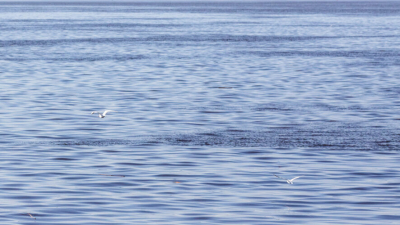На нескольких реках в Татарстане резко поднялся уровень воды 10/04/2026 &ndash; Новости