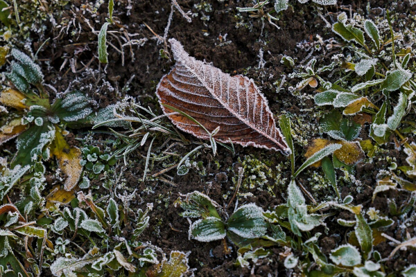 В&nbsp;Татарстане прогнозируют плюсовую температуру и&nbsp;ветер до&nbsp;22 м/с