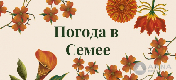 Прогноз погоды в Семее на Arnapress: 15.07.24 – 19.07.24