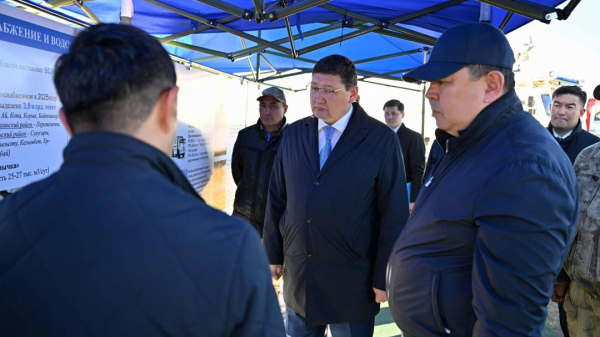 Свыше 78 км электросетей и десятки подстанций модернизируют в области Абай
