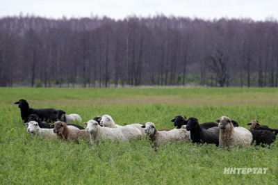 &laquo;Йонның биржа сатуларына кертелүе аның статусын күтәрде&raquo;: Йон кайчан керем китерер?