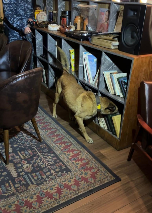 В Бишкеке усилены меры по противодействию незаконному обороту наркотиков