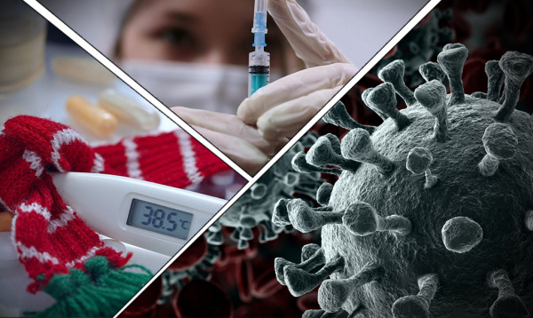 Mash: в России выявили первый завозной случай лихорадки чикунгунья в 2026 году