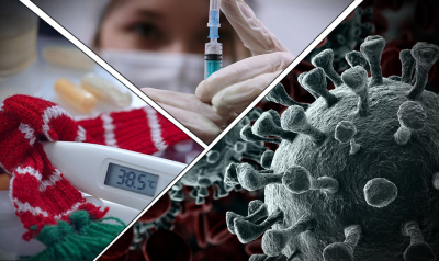 Mash: в России выявили первый завозной случай лихорадки чикунгунья в 2026 году