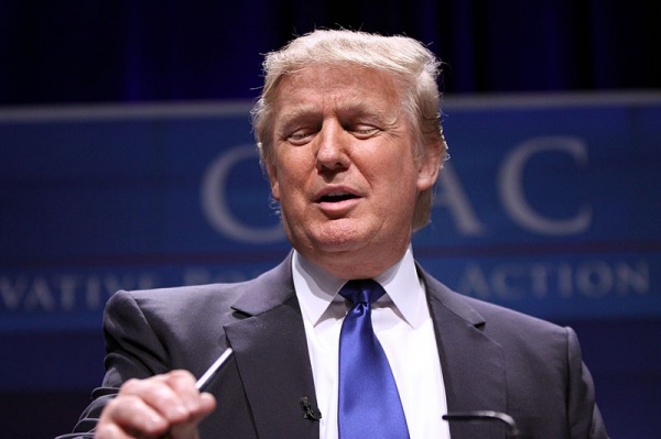 Трамп опубликовал изображение с отмеченными флагом США Гренландией и Канадой