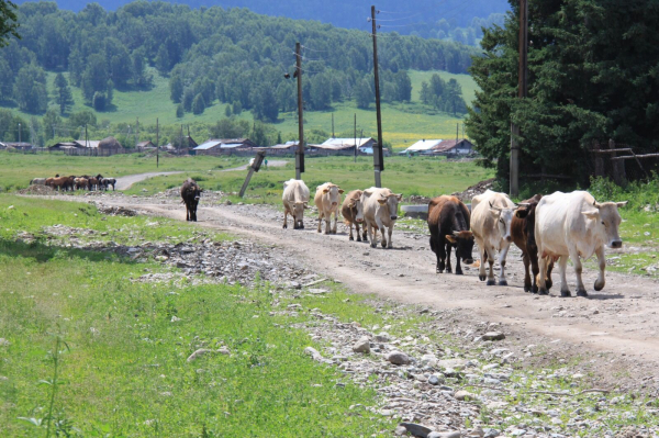 Вы пашите, вам зачтётся!