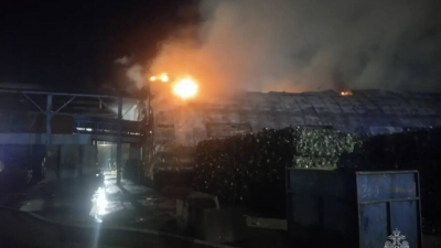 В Набережных Челнах загорелся ангар для сортировки мусора на 600 &laquo;квадратах&raquo; - видео 31/03/2026 &ndash; Новости