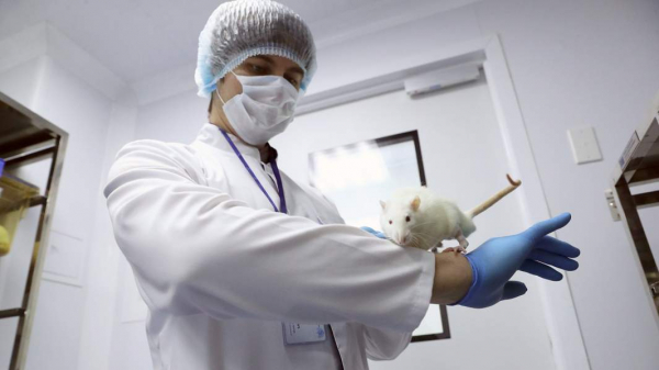 В Роспотребнадзоре прогнозируют наплыв грызунов в Татарстане из-за снежной зимы