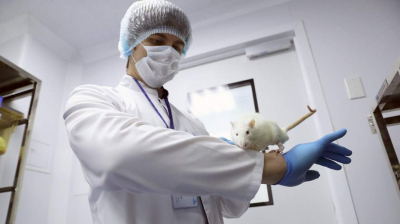 В Роспотребнадзоре прогнозируют наплыв грызунов в Татарстане из-за снежной зимы