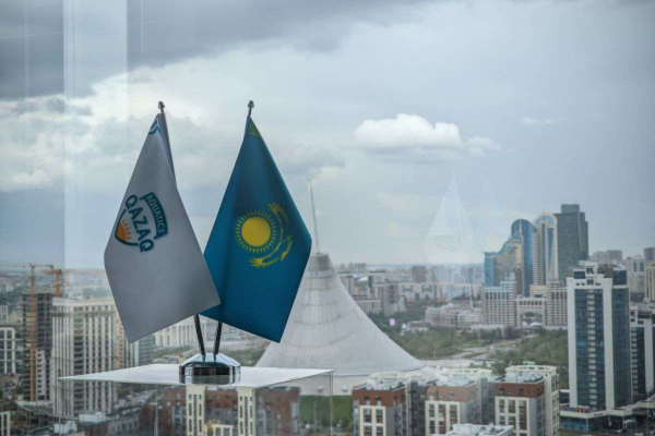 Казахстанцы получили назначения в структурах World Aquatics