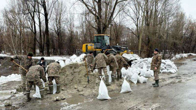 Соловьево защищают от Березовки