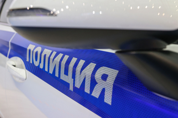 Полицейские стрельбой остановили пьяного лихача