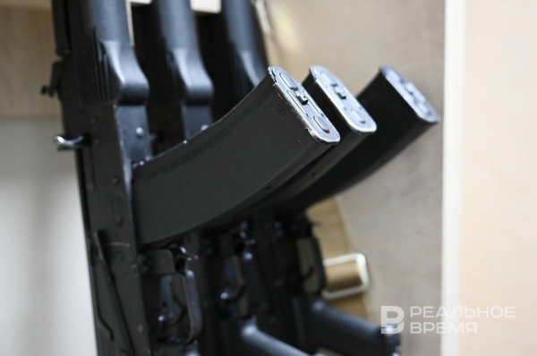 Военные Венгрии возьмут под охрану участок &laquo;Турецкого потока&raquo; после обнаружения взрывчатки