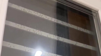 На полчища комаров, облюбовавших окна, продолжают жаловаться астанчане (видео)