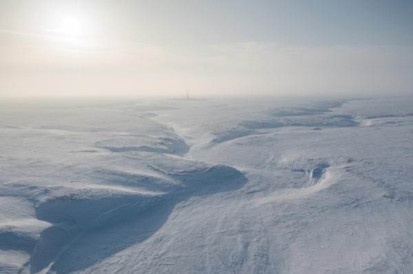 В России создали цифровую модель прогноза вечной мерзлоты