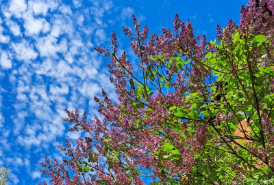 Летний снег России не грозит: климатолог Чернокульский опроверг прогнозы о похолодании