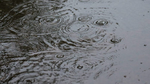 Небольшой дождь ожидается в Татарстане в среду на этой неделе 08/04/2026 &ndash; Новости