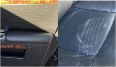 Мужчины в костюме медведя испортили три авто премиум-класса ради страховки в США