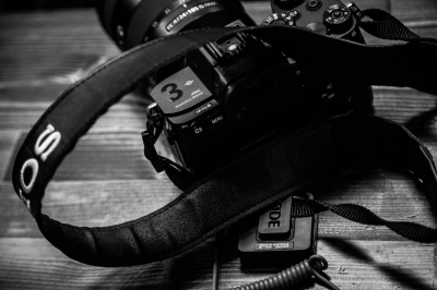 &laquo;Авито&raquo;: тренд на 2016 привел к увеличению продаж фингербордов и селфи-палок