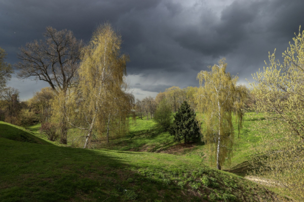 Более 120 ученых обратились к Путину из-за закона о заповедниках