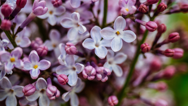 Татарстанцы смогут отдохнуть три дня подряд в мае: рассказываем, когда 08/04/2026 &ndash; Новости