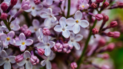 Татарстанцы смогут отдохнуть три дня подряд в мае: рассказываем, когда 08/04/2026 &ndash; Новости