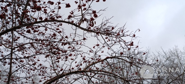 Дожди, снег и гололед: штормовое предупреждение в ряде регионов Казахстана